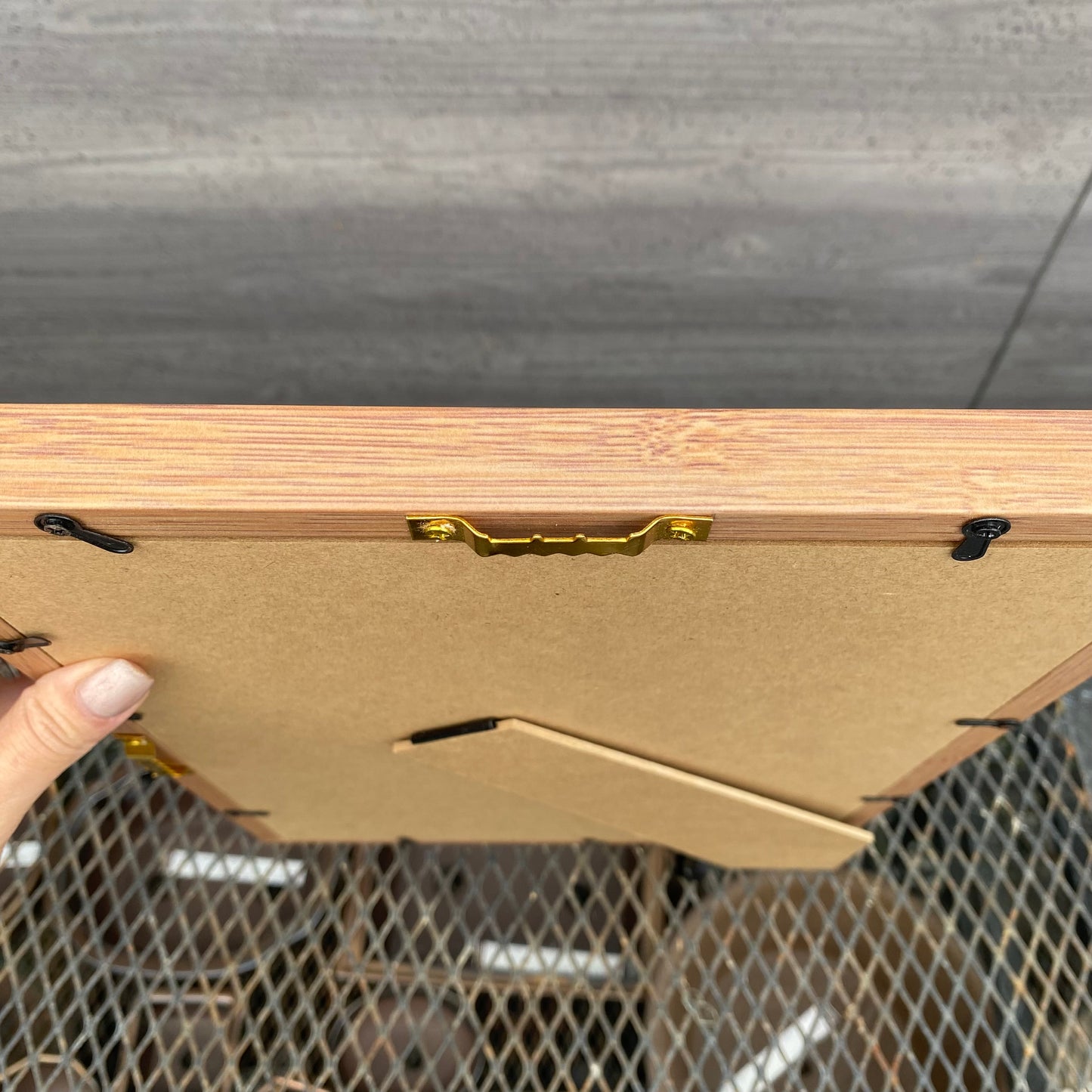 ボタニカルアートフレーム　パキポディウム