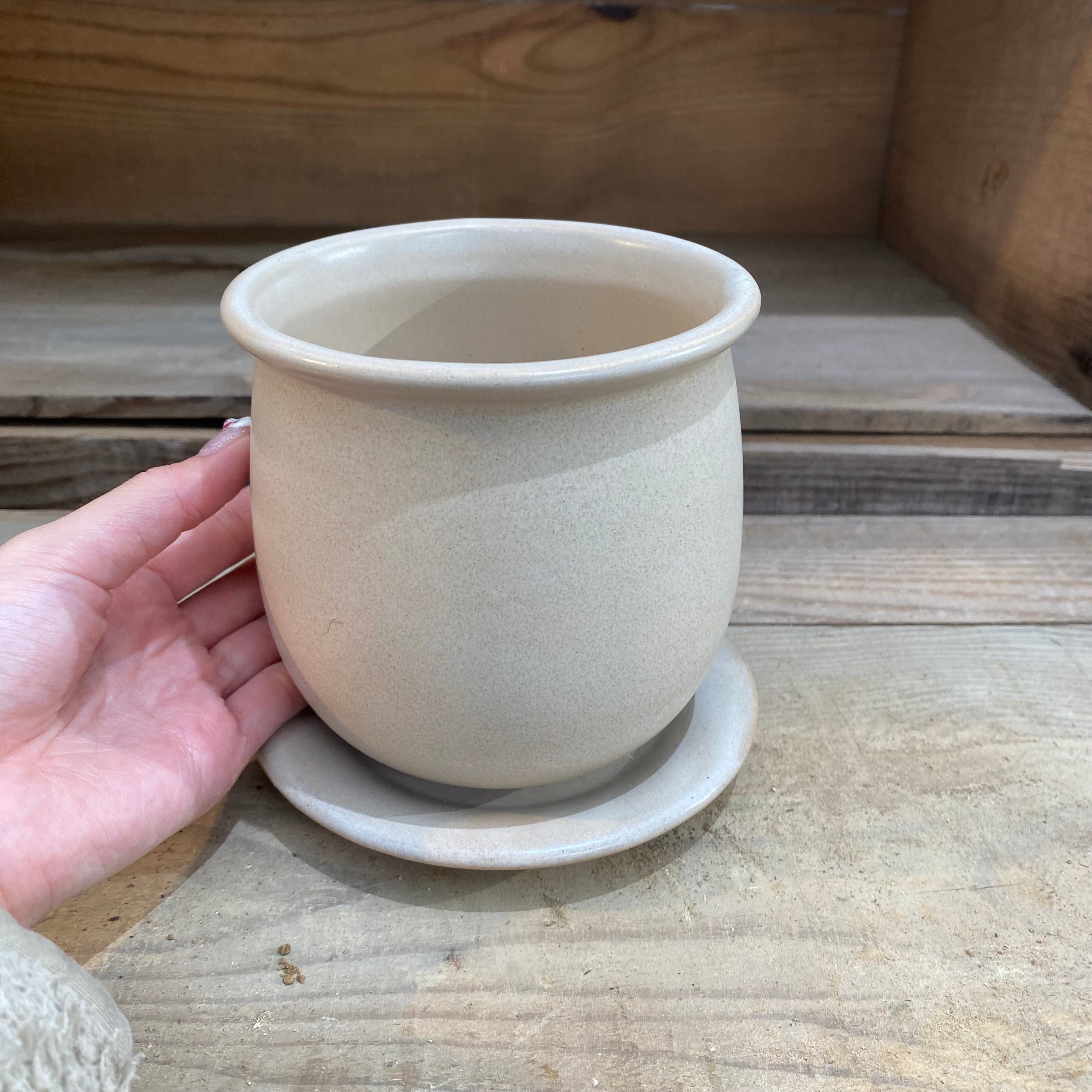 B182s  十錦手「花尽くし火鉢」菊・梅・牡丹　手焙り　鉢カバー　七宝繋文 B182s 十錦手「花尽くし火鉢」菊・梅・牡丹 手焙り 鉢カバー 七宝繋