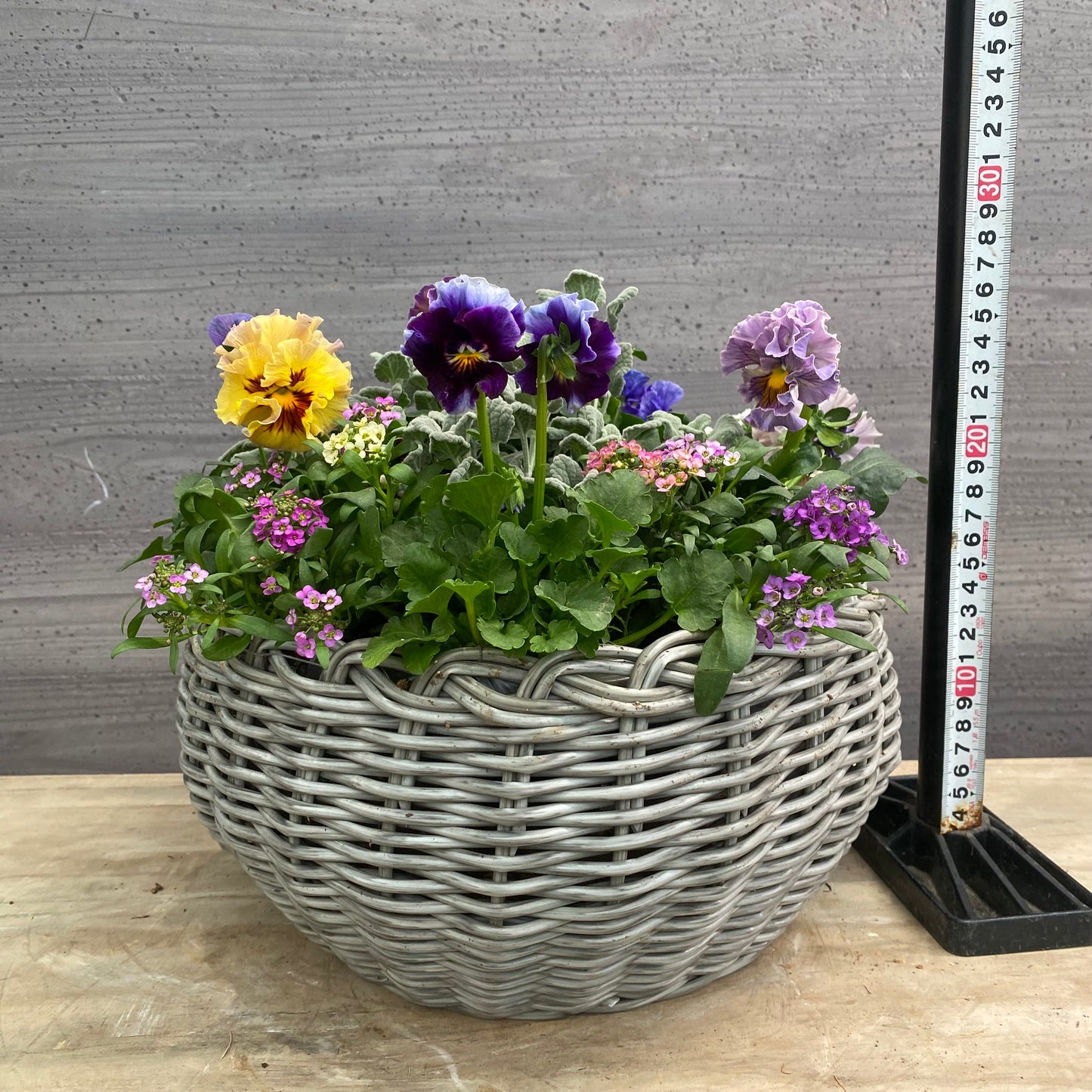 寄せ植えO　ゆりかごバスケットグレー