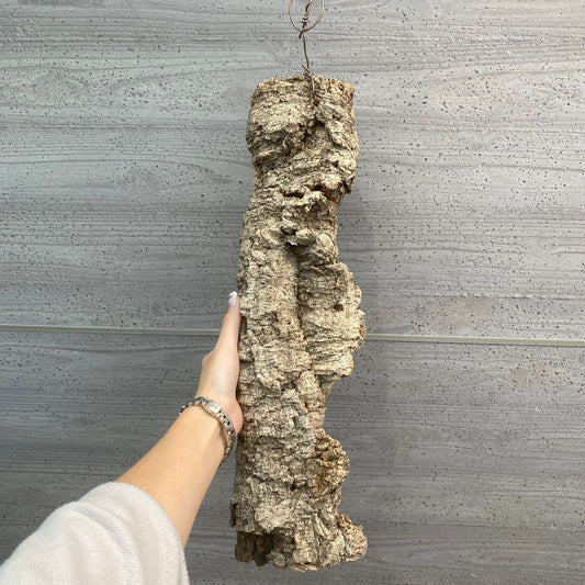 No.08022 コルク板