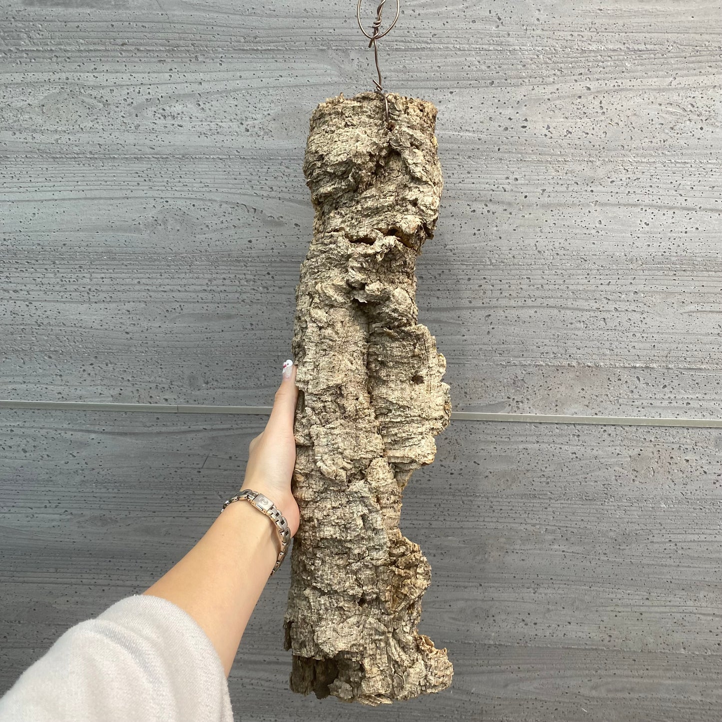 No.08022　コルク板