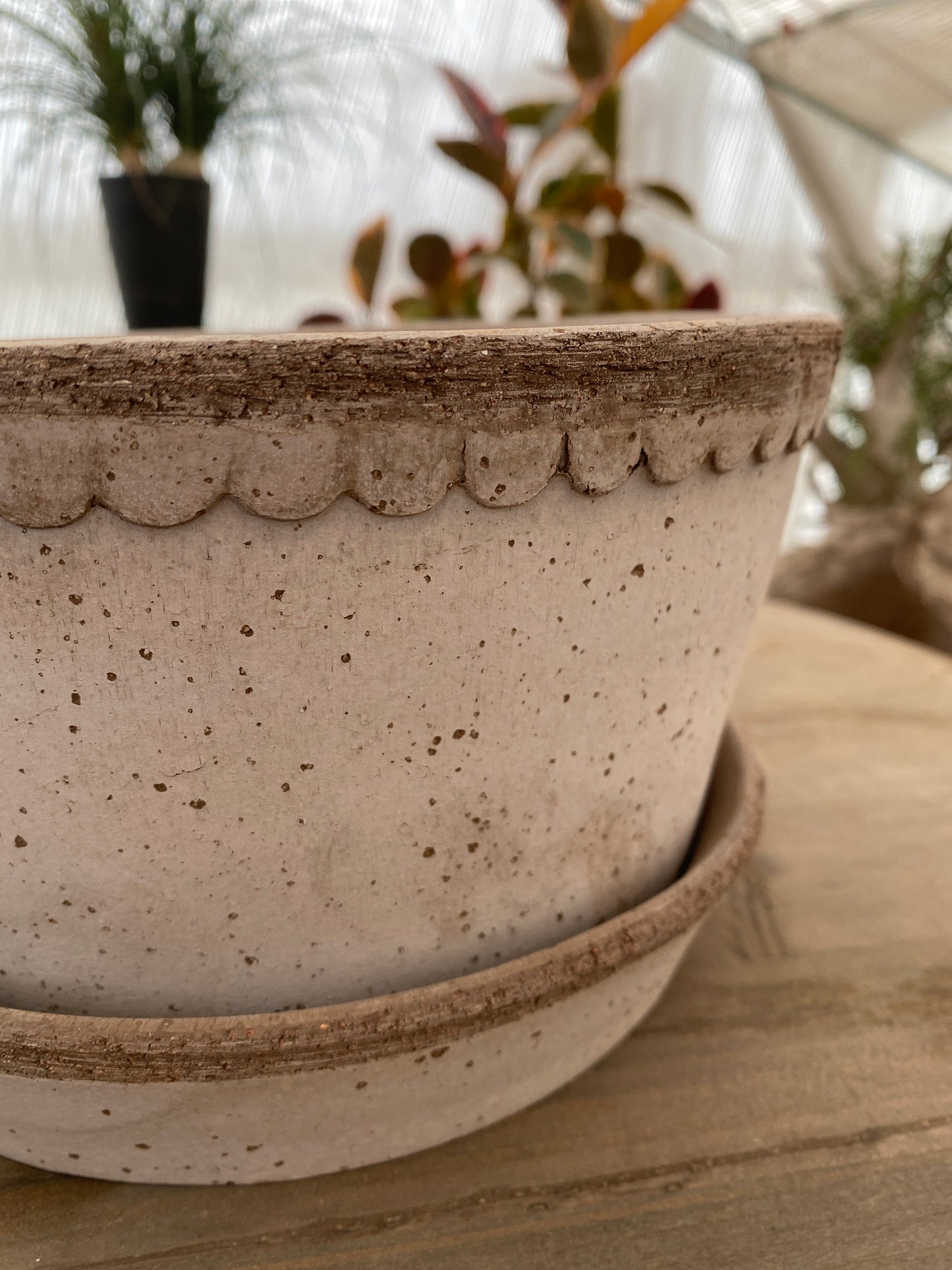 BERGS　ヘレナ21　LOW　グレー