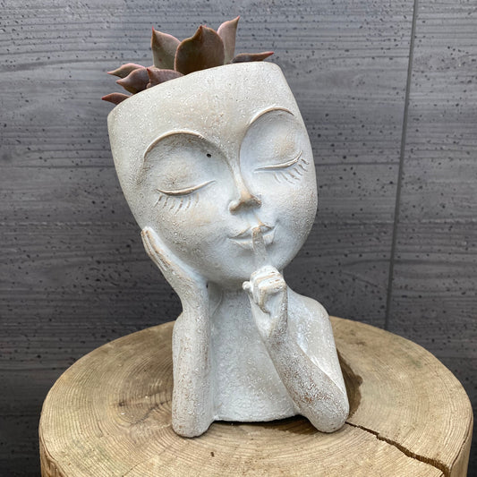 エケベリア マディバ ガールポットA