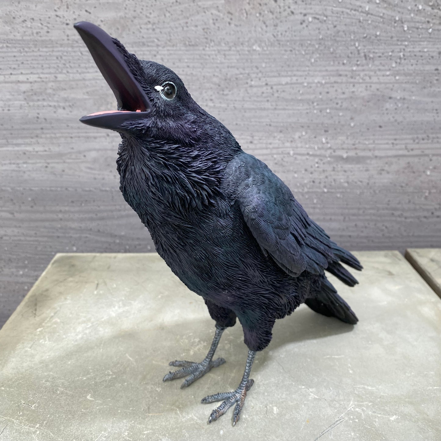PET BANK シリーズ　ハシブトガラス　JUNGLE CROW　貯金箱