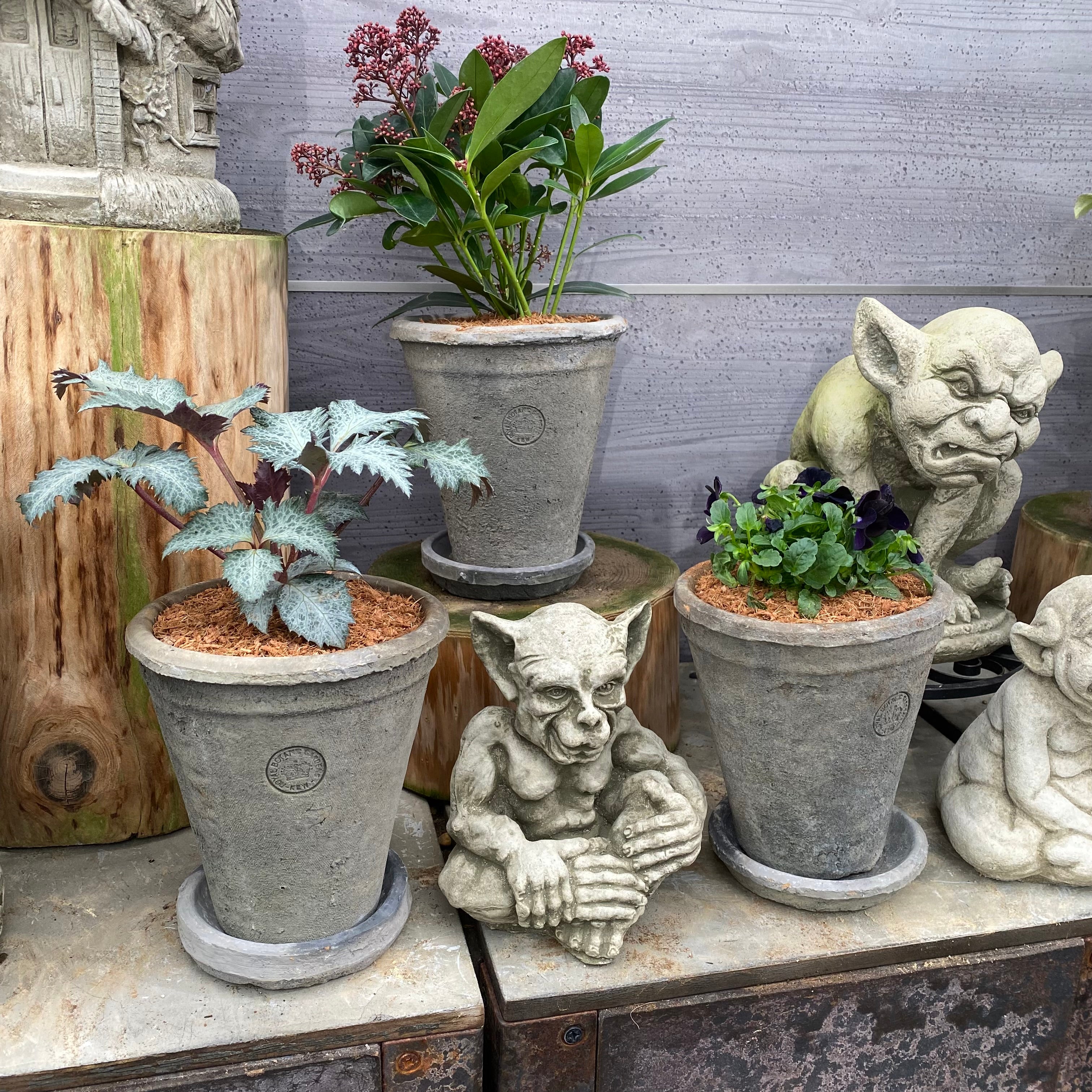 ランカ キューポット グレー S ROYAL BOTANIC GARDENS-KEW- – 植物家族