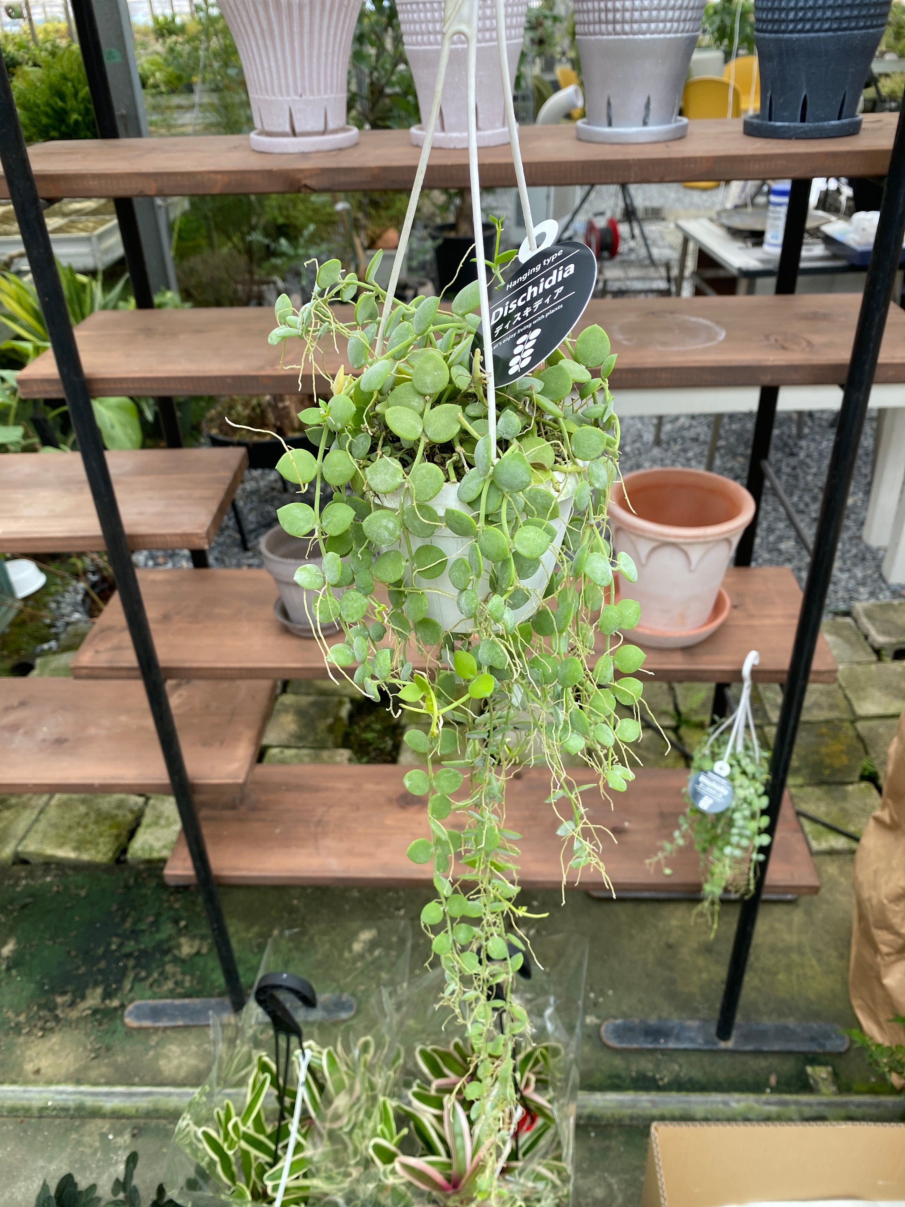 プチポワン額装・花籠 プチポワン額装・花籠