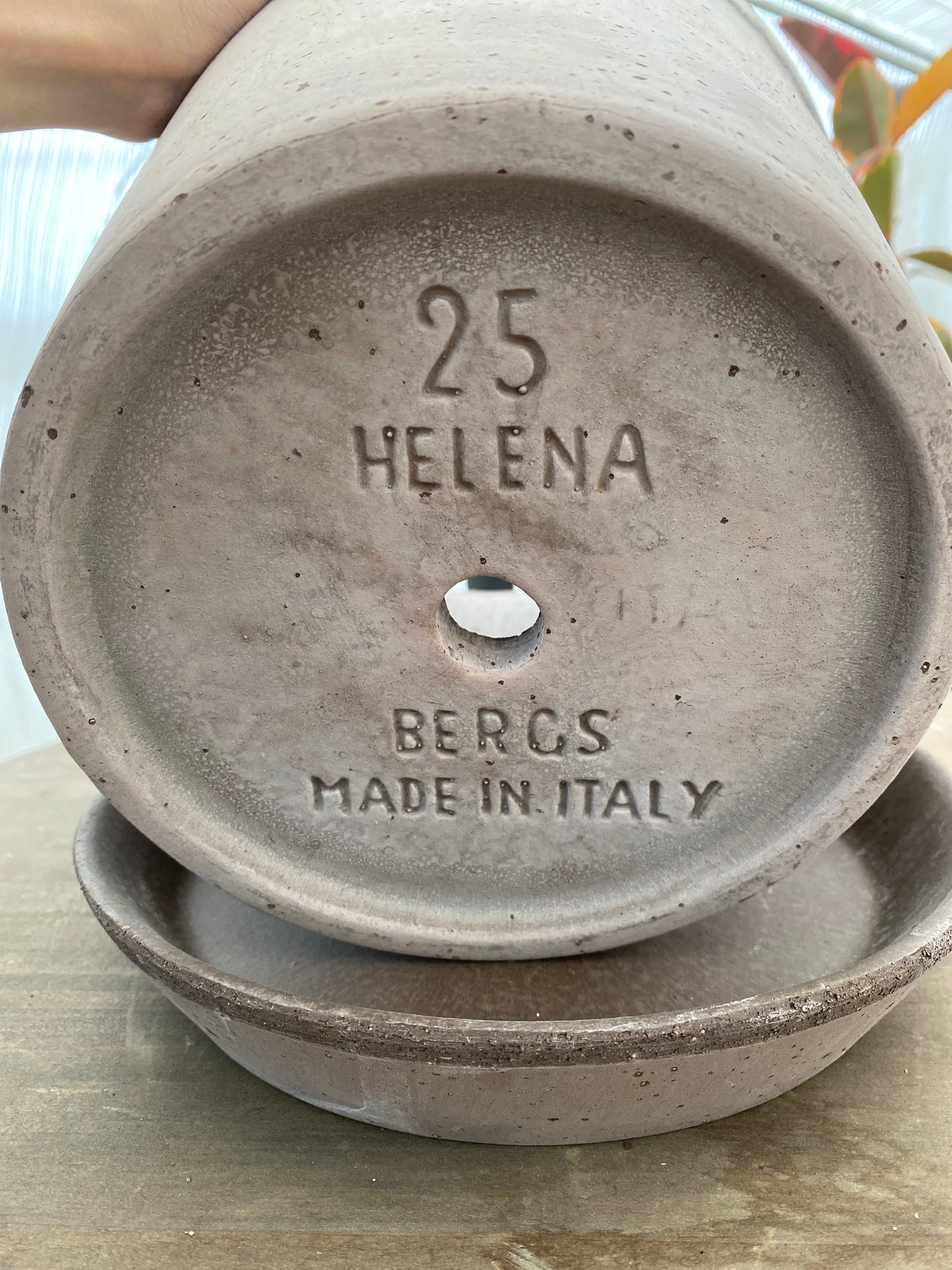 BERGS　ヘレナ25　グレー