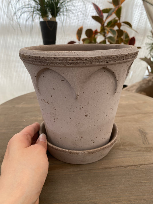 BERGS エリザベス16 グレー