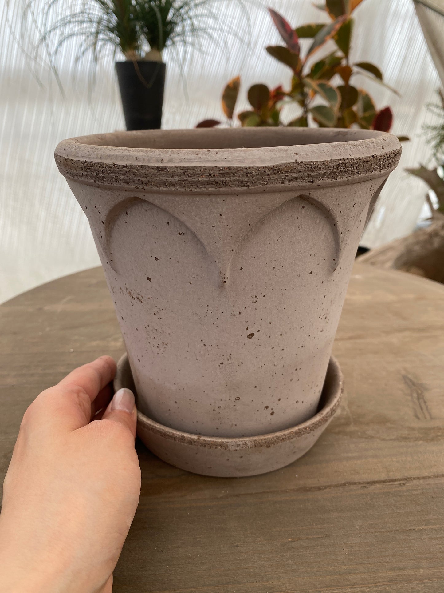 BERGS　エリザベス16　グレー