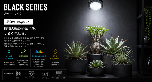 エバーサン365　ブラック　M(12W)　昼白色