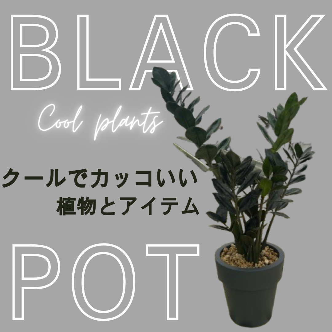 佇まいに惚れ惚れする…男前な植物とアイテム集めました！