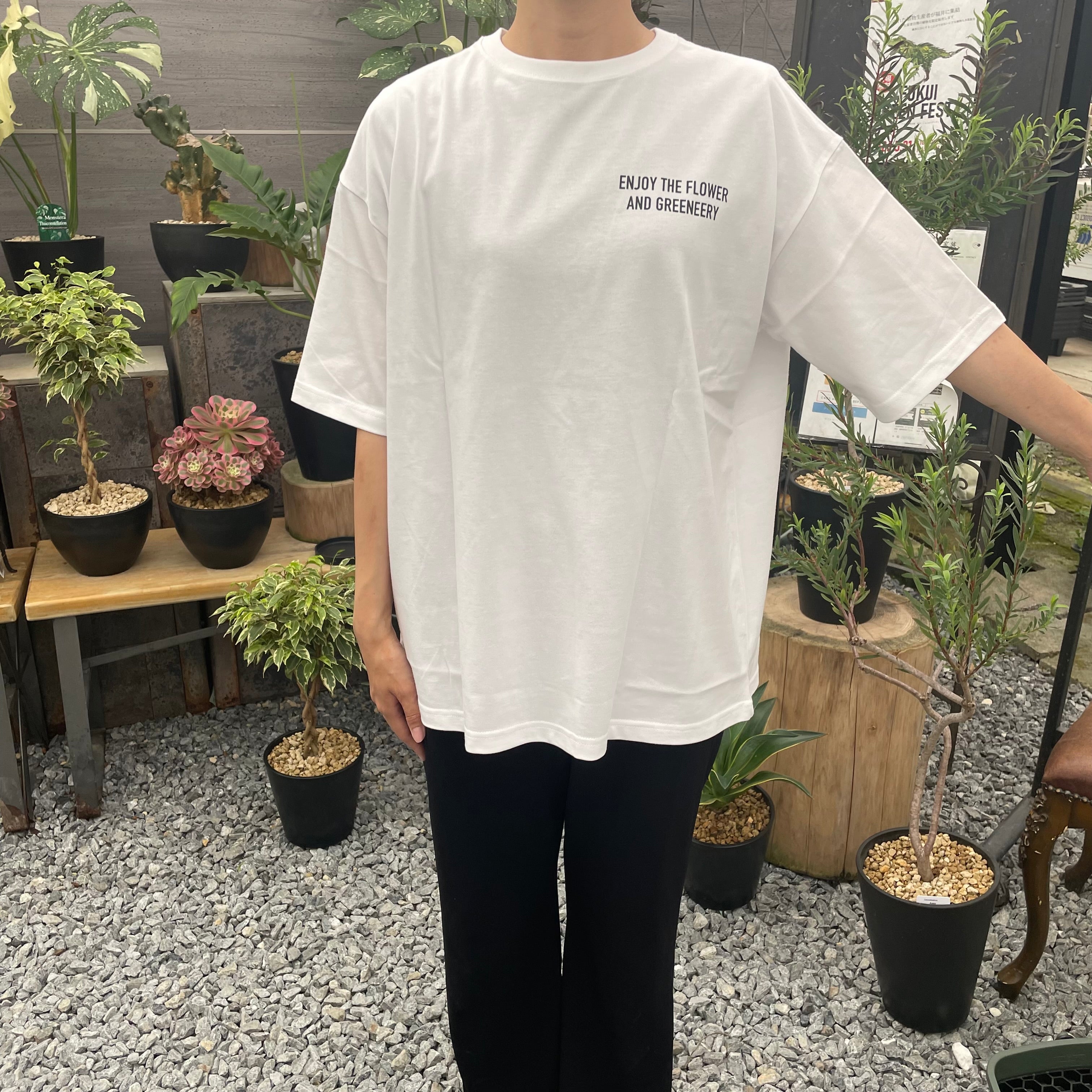 Pickup 全ての商品 – 植物家族