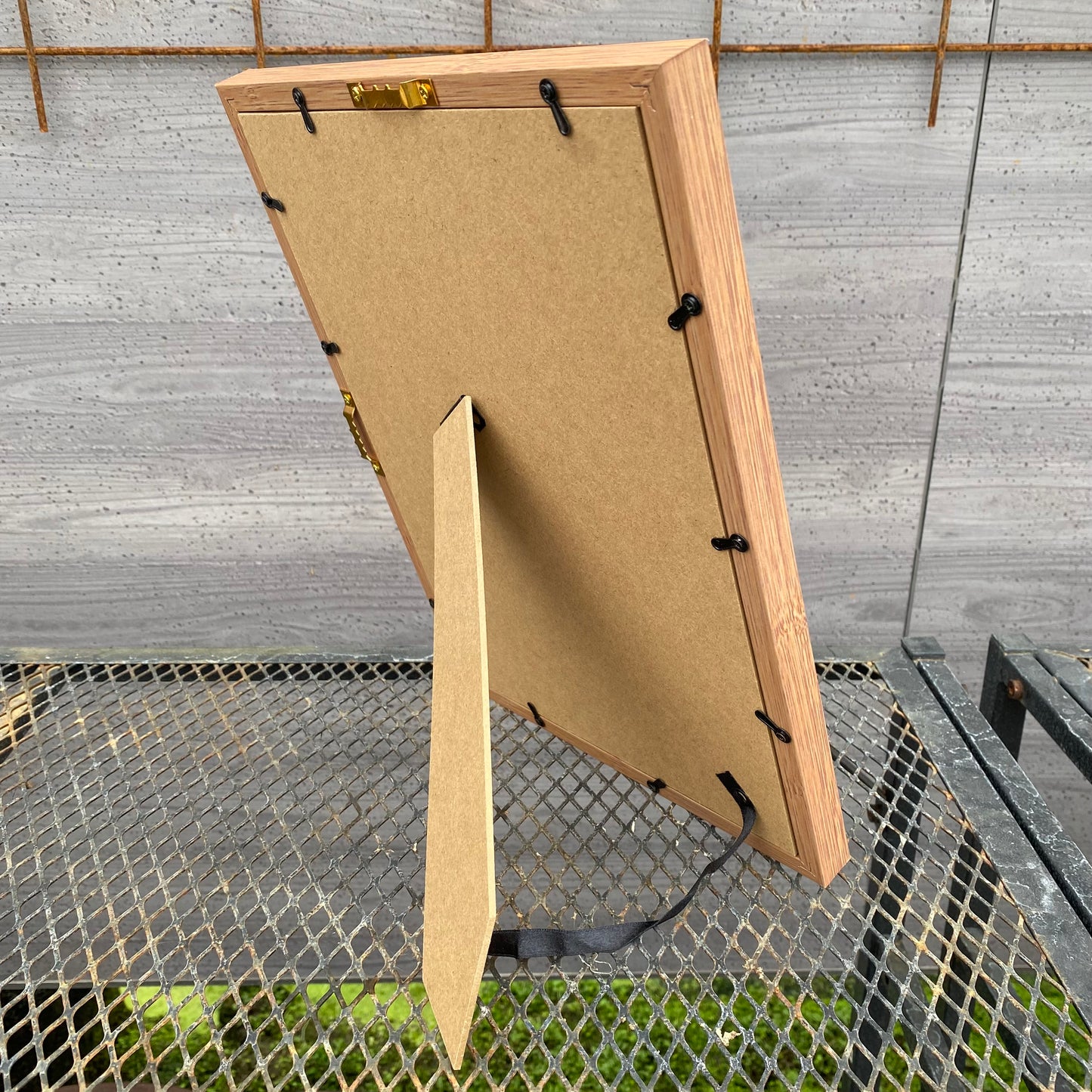 ボタニカルアートフレーム　コウモリランA