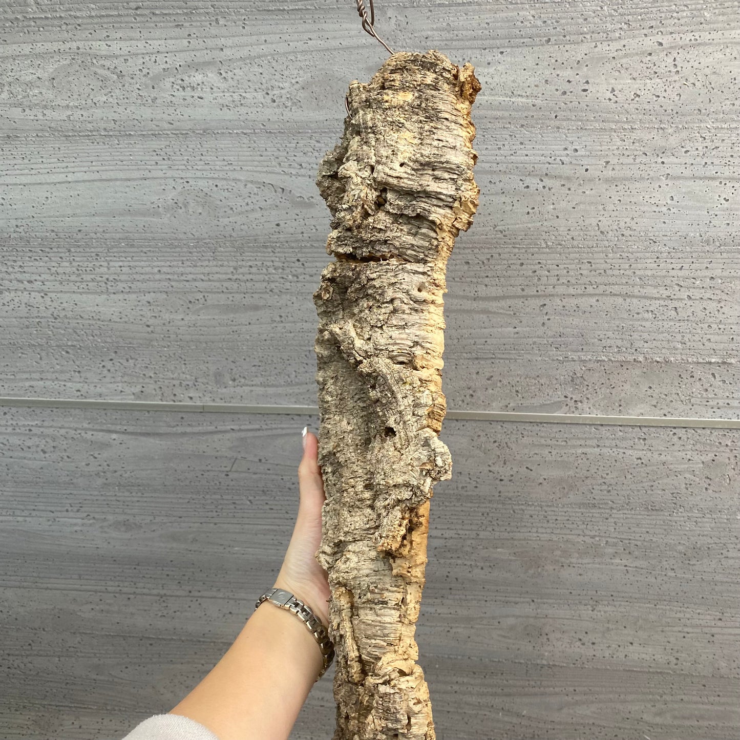 No.08022　コルク板