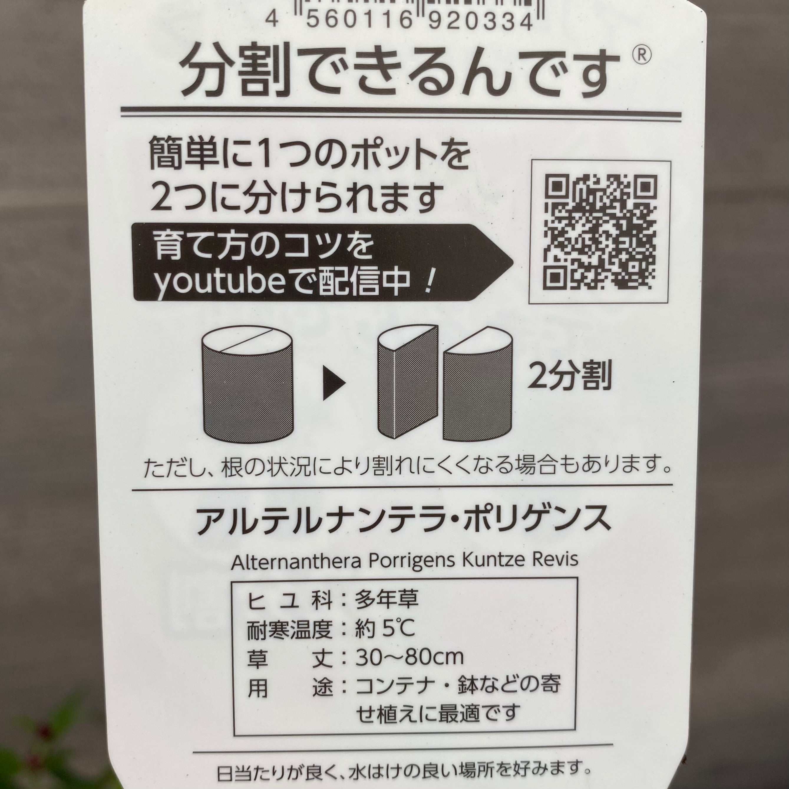 ミルトンシリーズ ハイデ・アルダラン 4冊セット　絶版 LONGINES SPECIAL Ref.5714 / 23653 SEI-TACCHE – TIMEANAGRAM