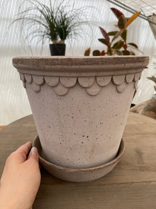 BERGS　コペンハーゲン21　グレー