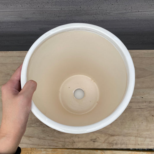 白い陶器鉢　7号鉢