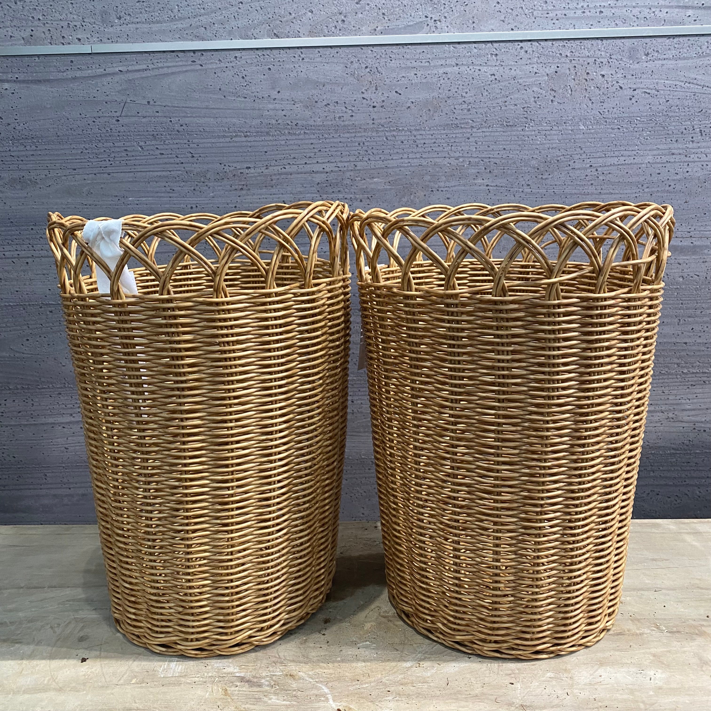 Pickup 全ての商品 – 植物家族