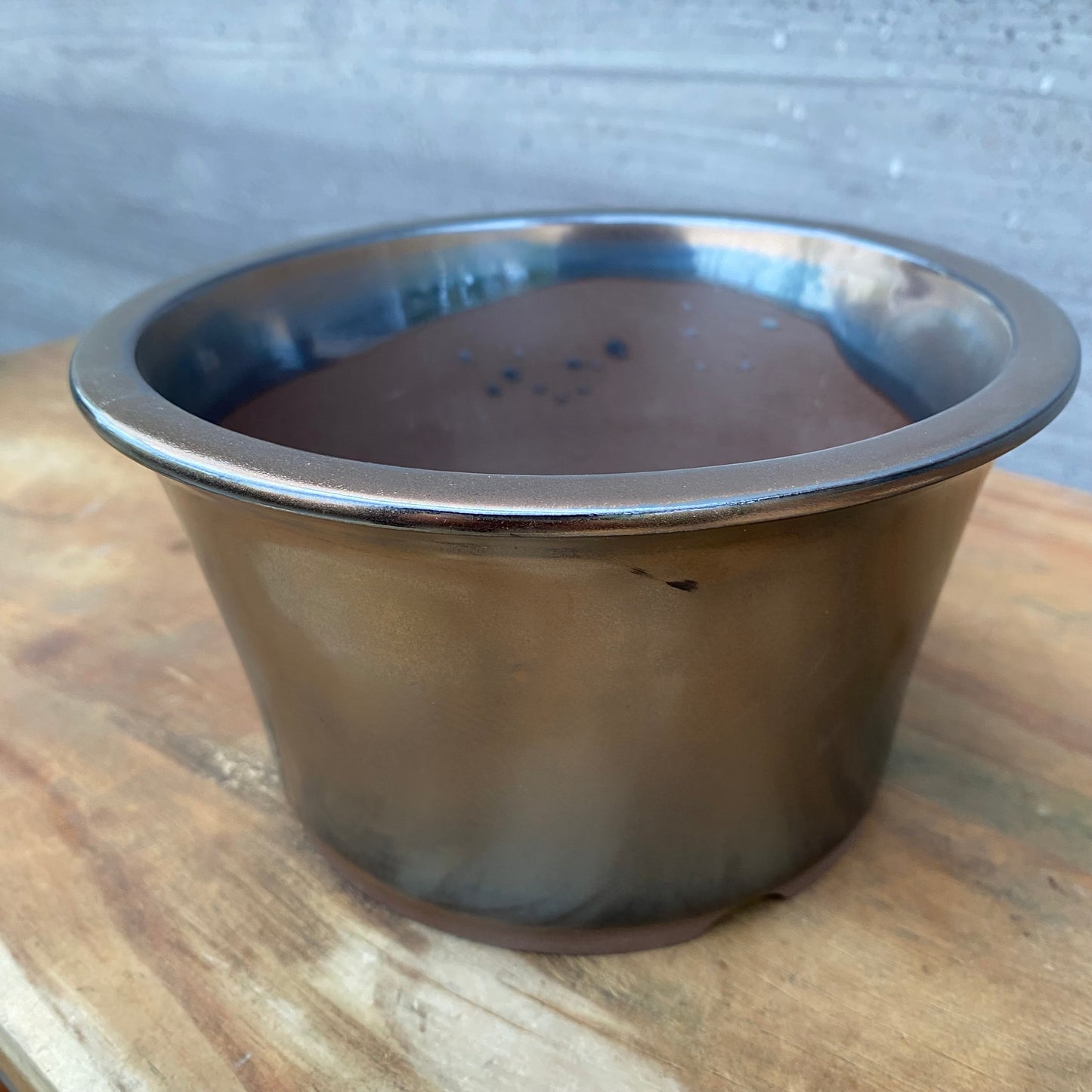 SORIGATA PLANTER 6 BRONZE