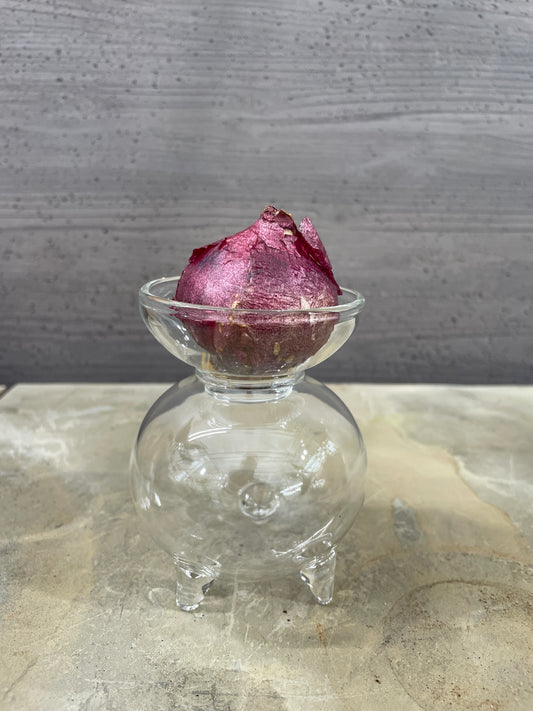 球根用花瓶　丸型クリア　小