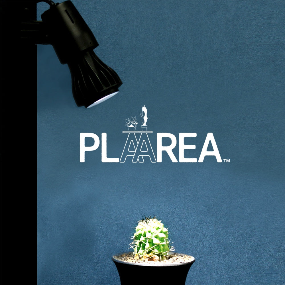 Pickup 全ての商品 – 植物家族