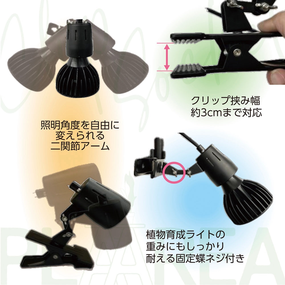 クリップソケット　ホワイト