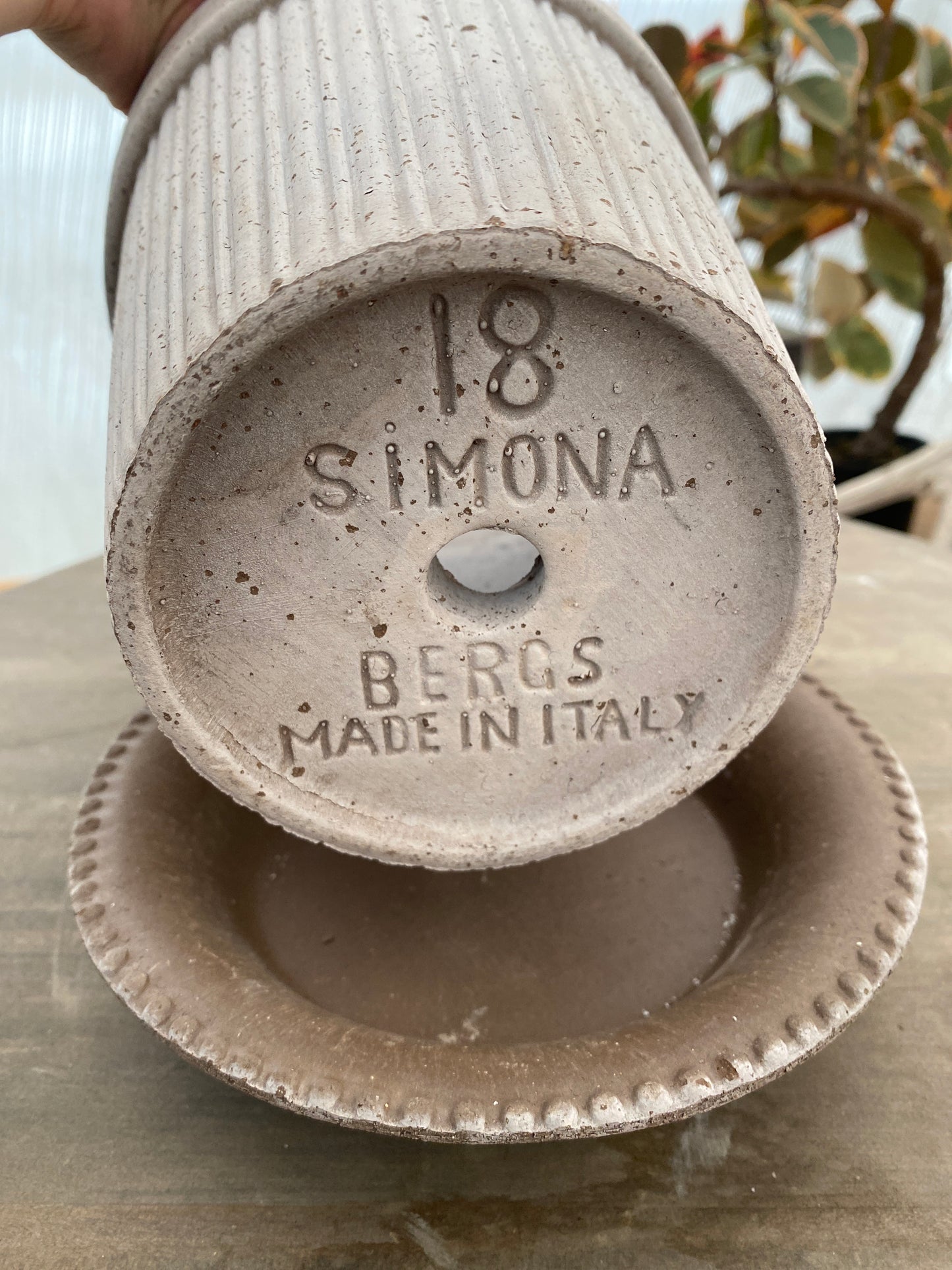 BERGS　シモナ18　グレー