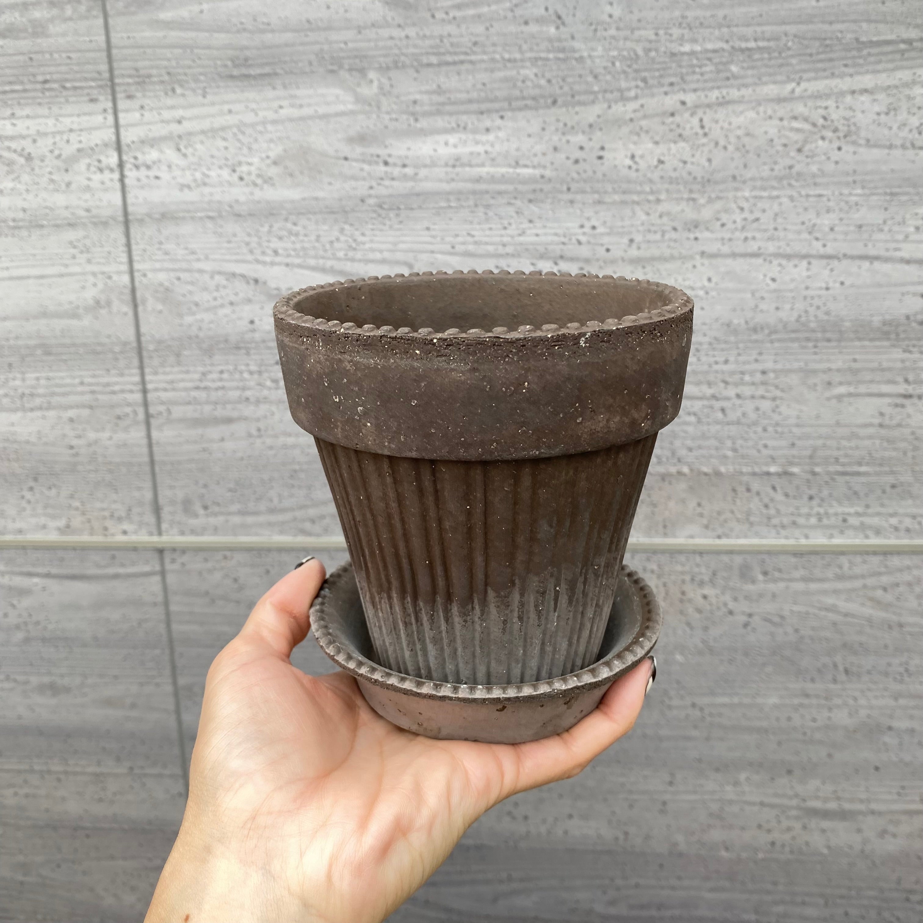 陶器鉢・素焼き鉢・ブランド鉢 – 植物家族 陶器鉢・素焼き鉢・ブランド鉢 – 植物家族