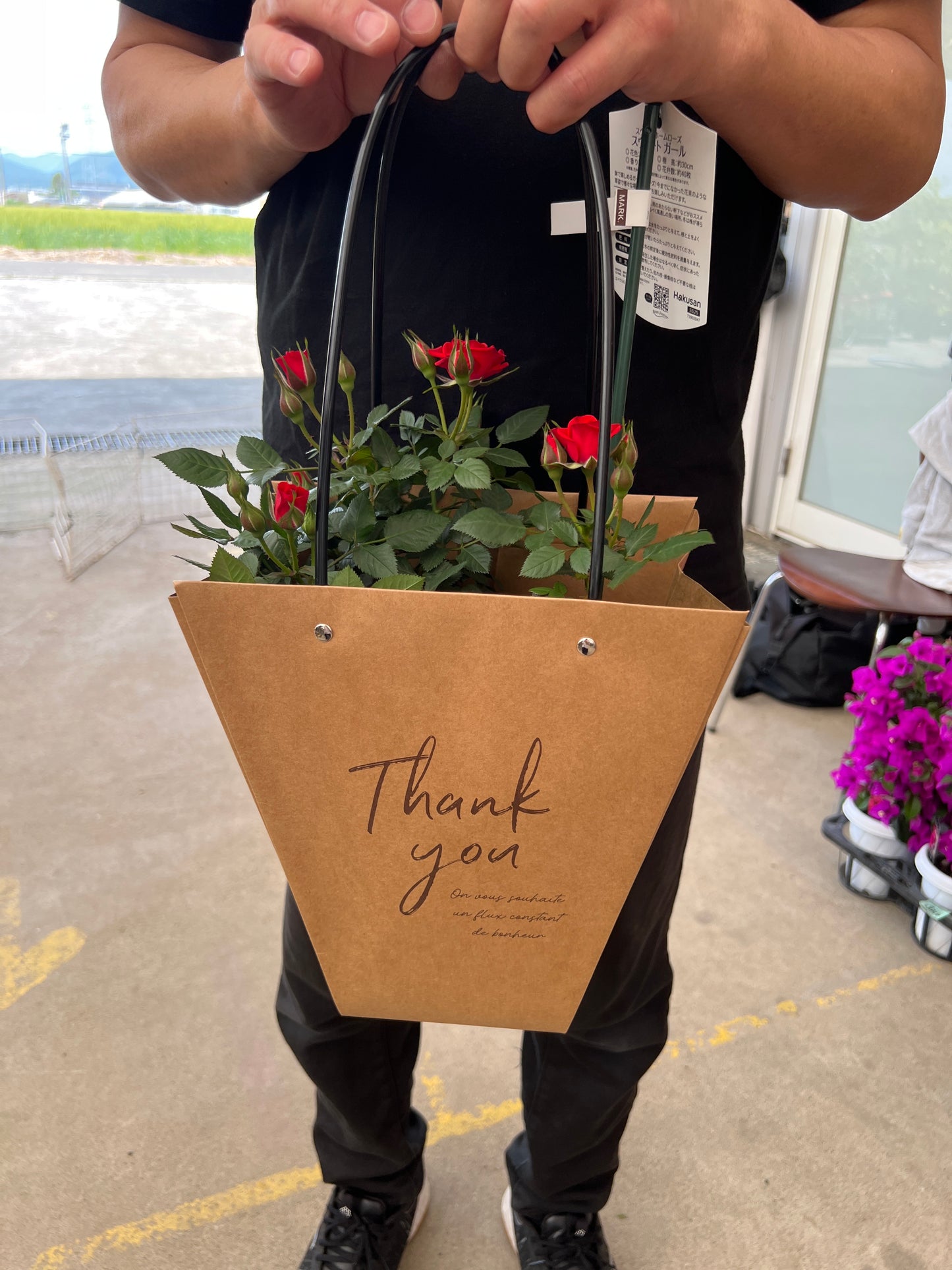 即売会SALE　No.28004　ミニバラ　スウィートガール　5号鉢　バッグ付き