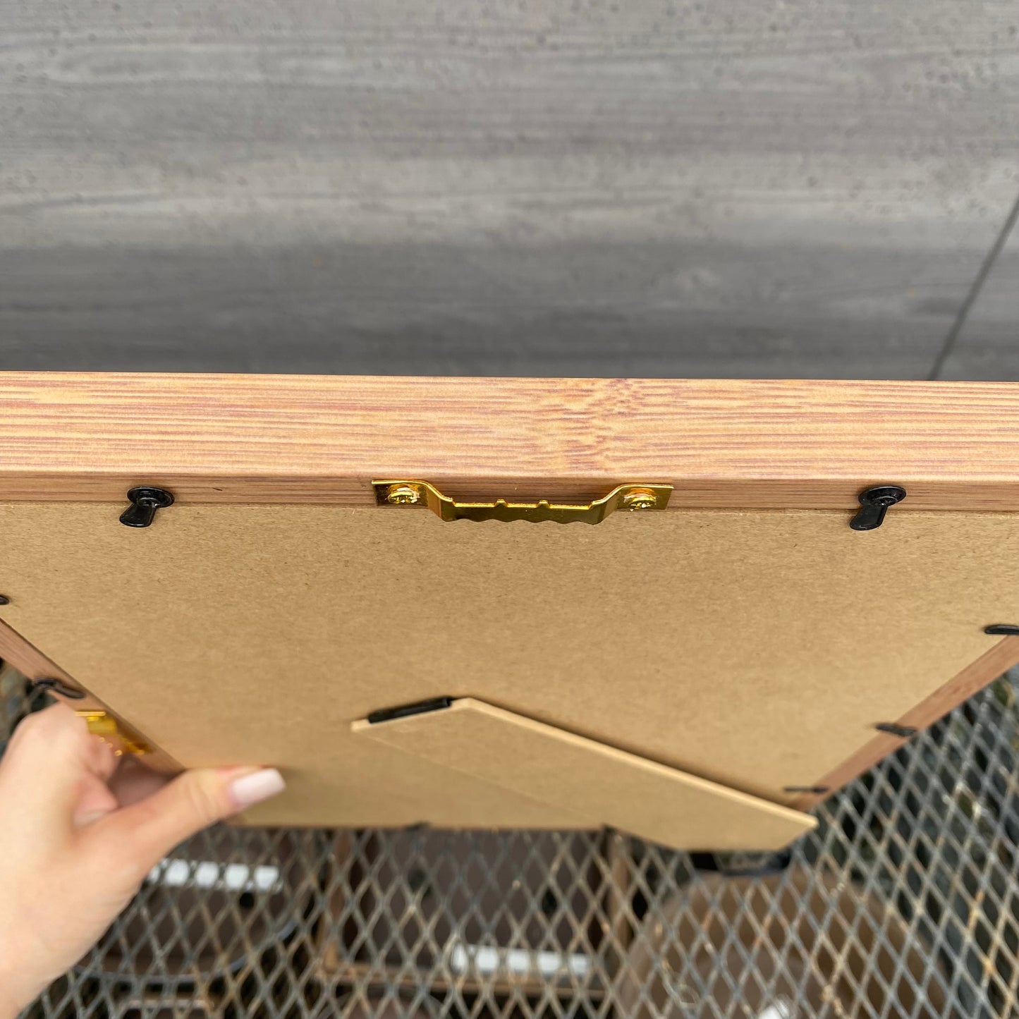 ボタニカルアートフレーム　コウモリランC