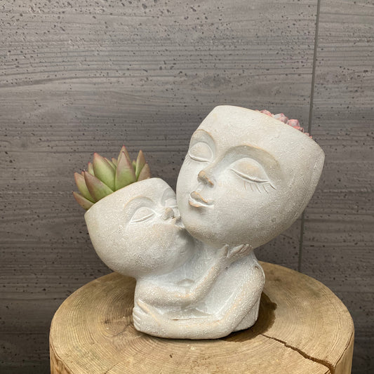 エケベリア ホワイトミニマ錦/アガボイデスルメール ガールポットD