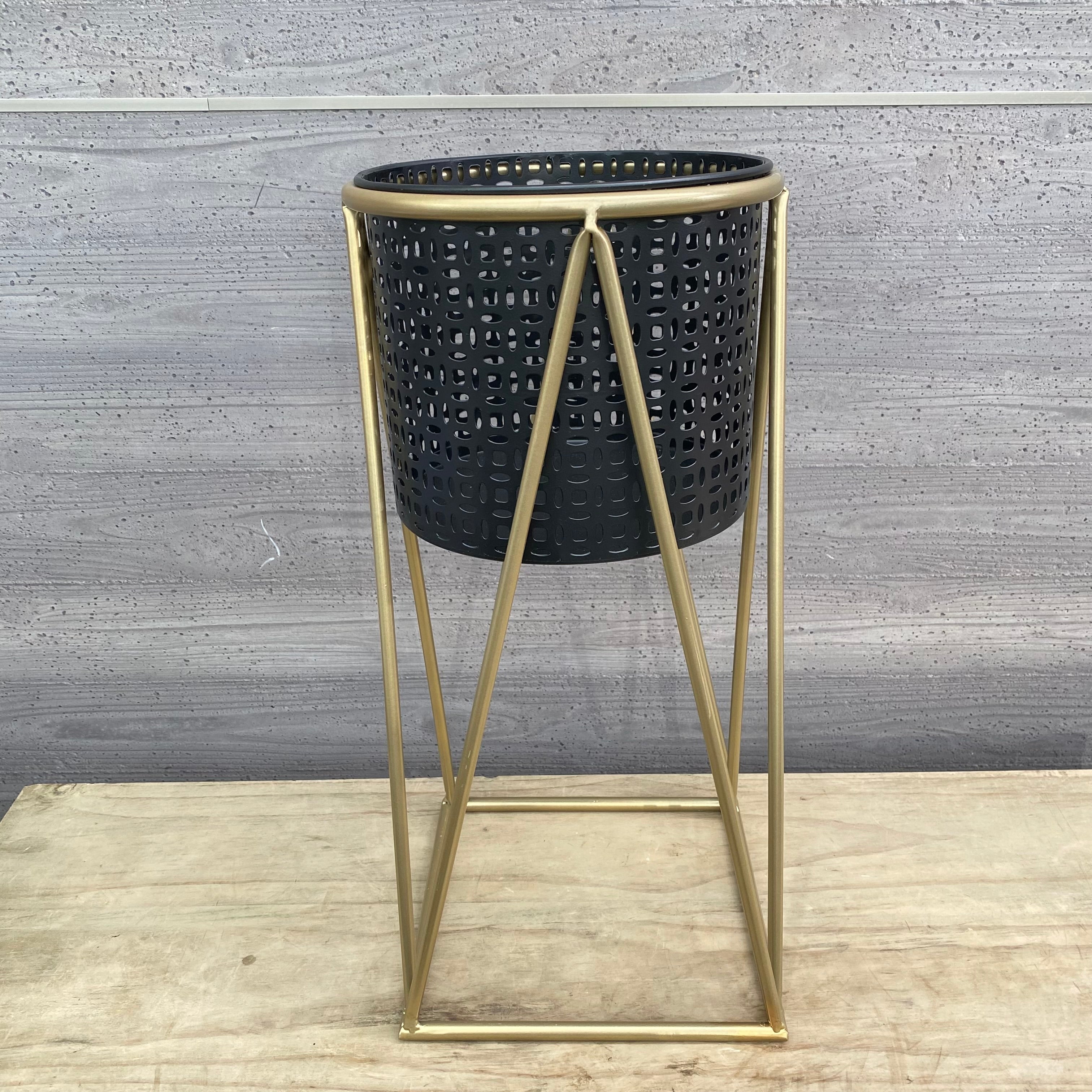 Pickup 全ての商品 – 植物家族