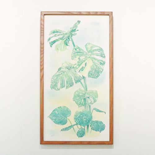 原画★モンステラ タイコンステレーション 50×25cm