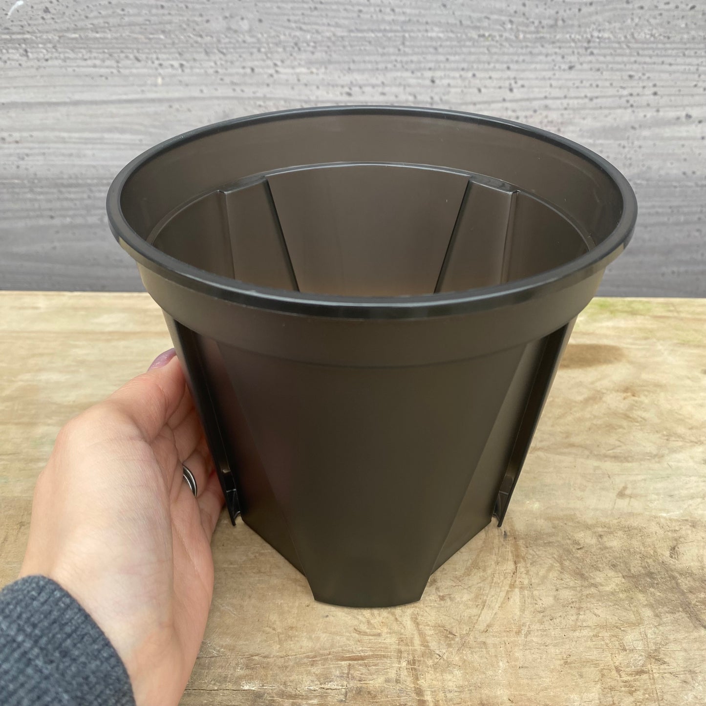 クリアポット（ブラック）5号