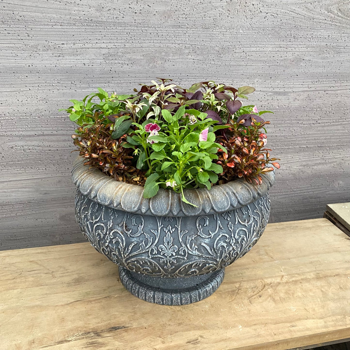 植木鉢　ヴァインゴブレット　ブラック