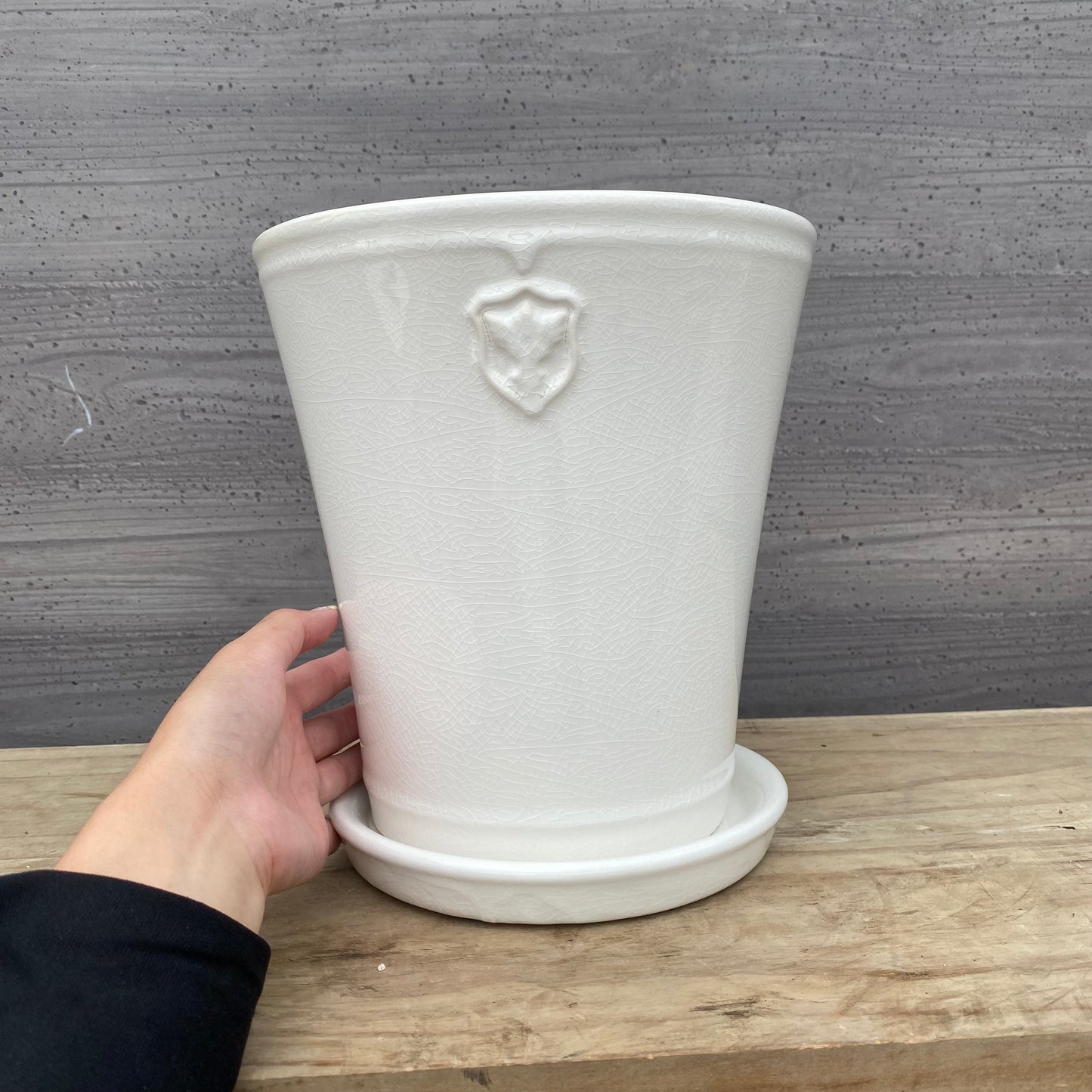 白い陶器鉢　7号鉢