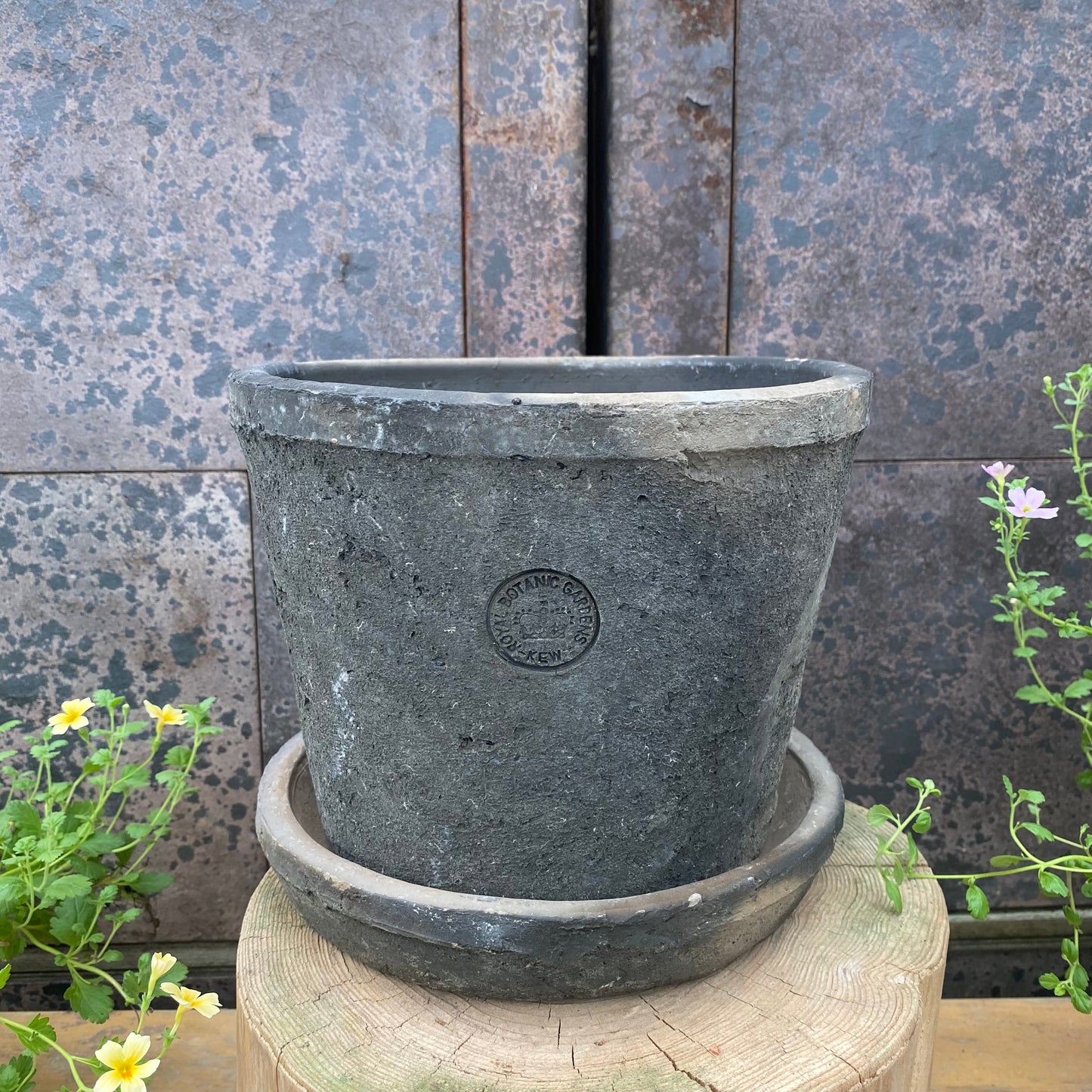 ランカ キューポット　グレー　M　ROYAL BOTANIC GARDENS-KEW-