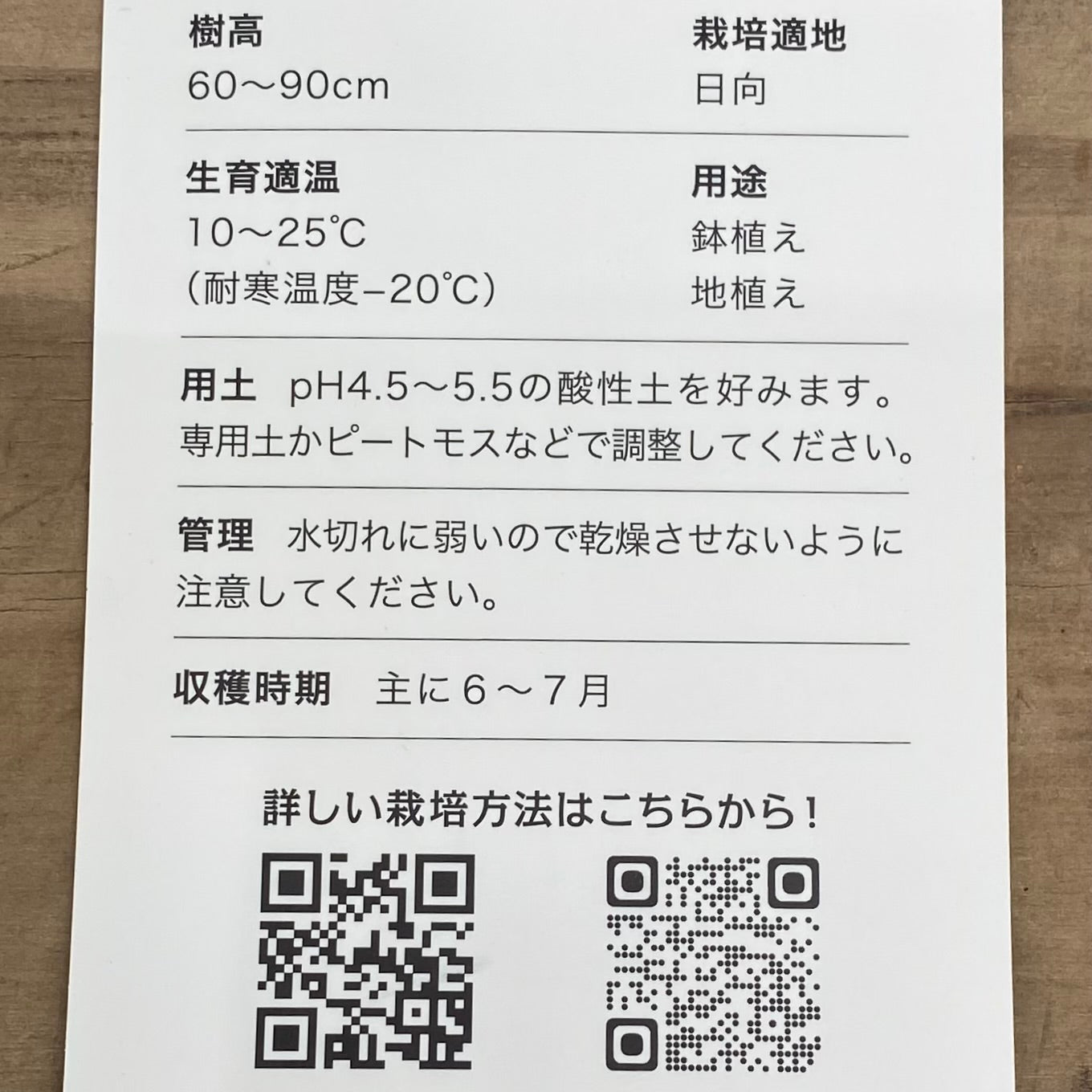 コンパクトブルーベリー　ブッシェル・アンド・ベリー　シルバーダラー　5号鉢