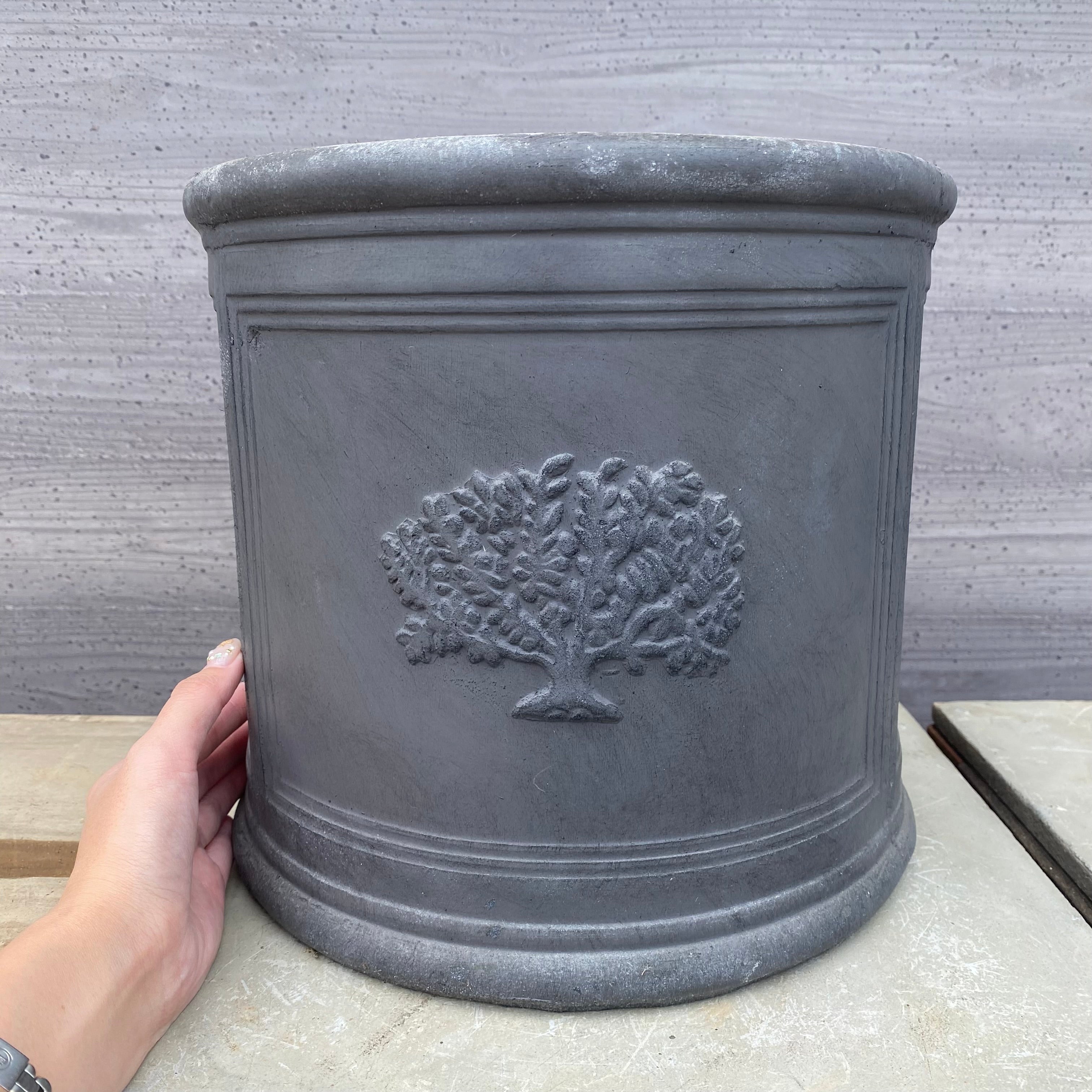 Pickup 全ての商品 – 植物家族