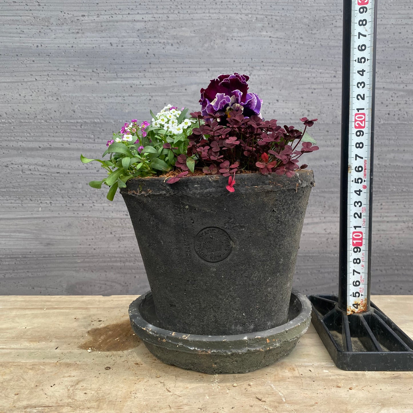 寄せ植えC　キューガーデンポット