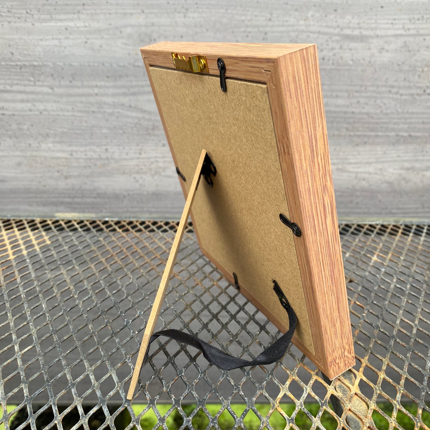 ボタニカルアートフレーム　アガベB