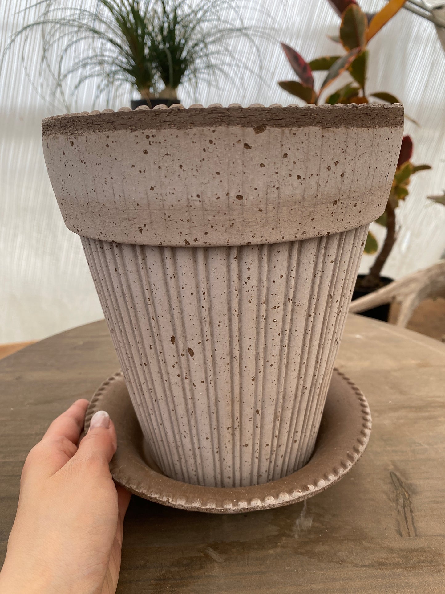 BERGS　シモナ18　グレー