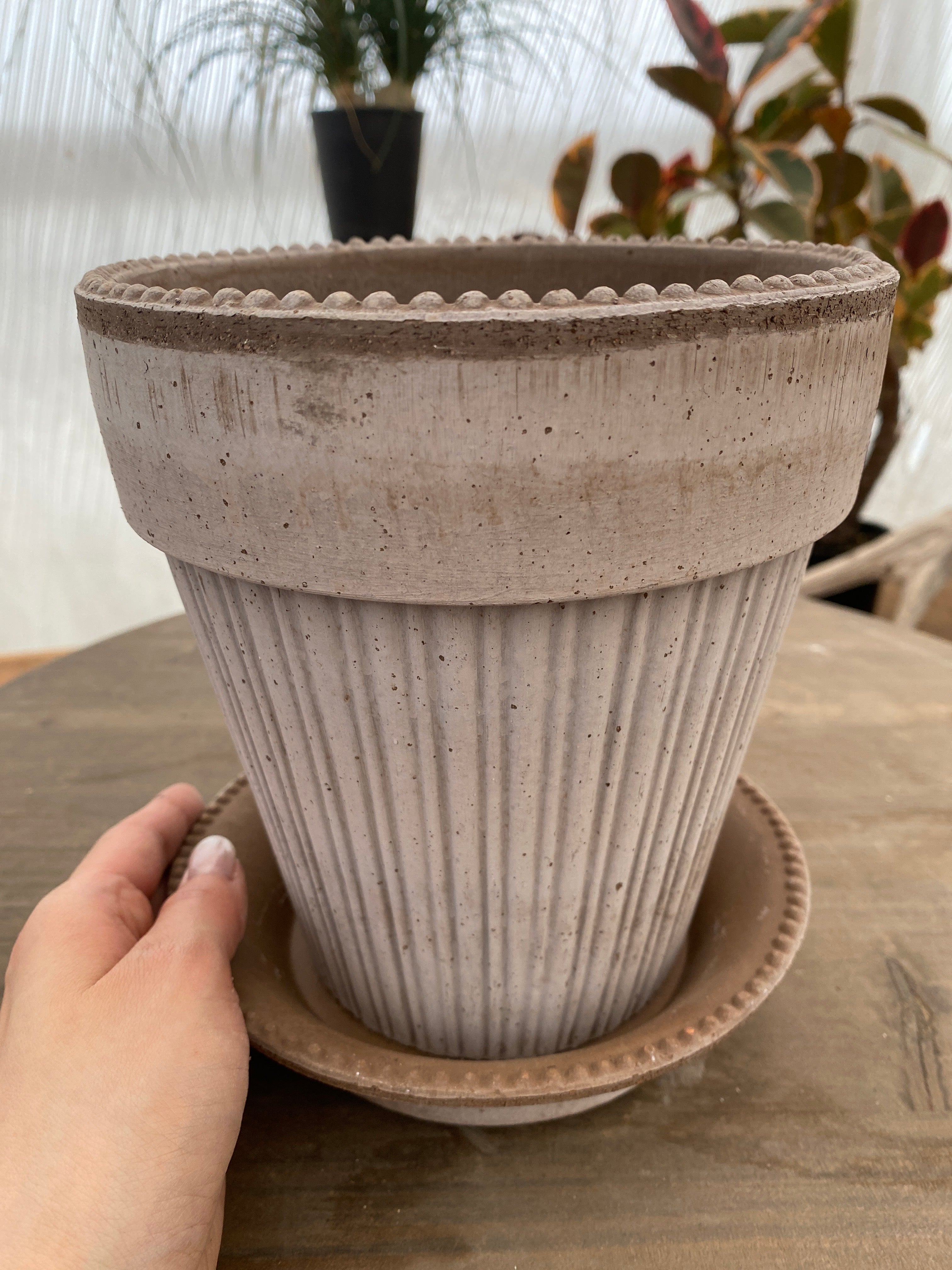 商品 – 植物家族