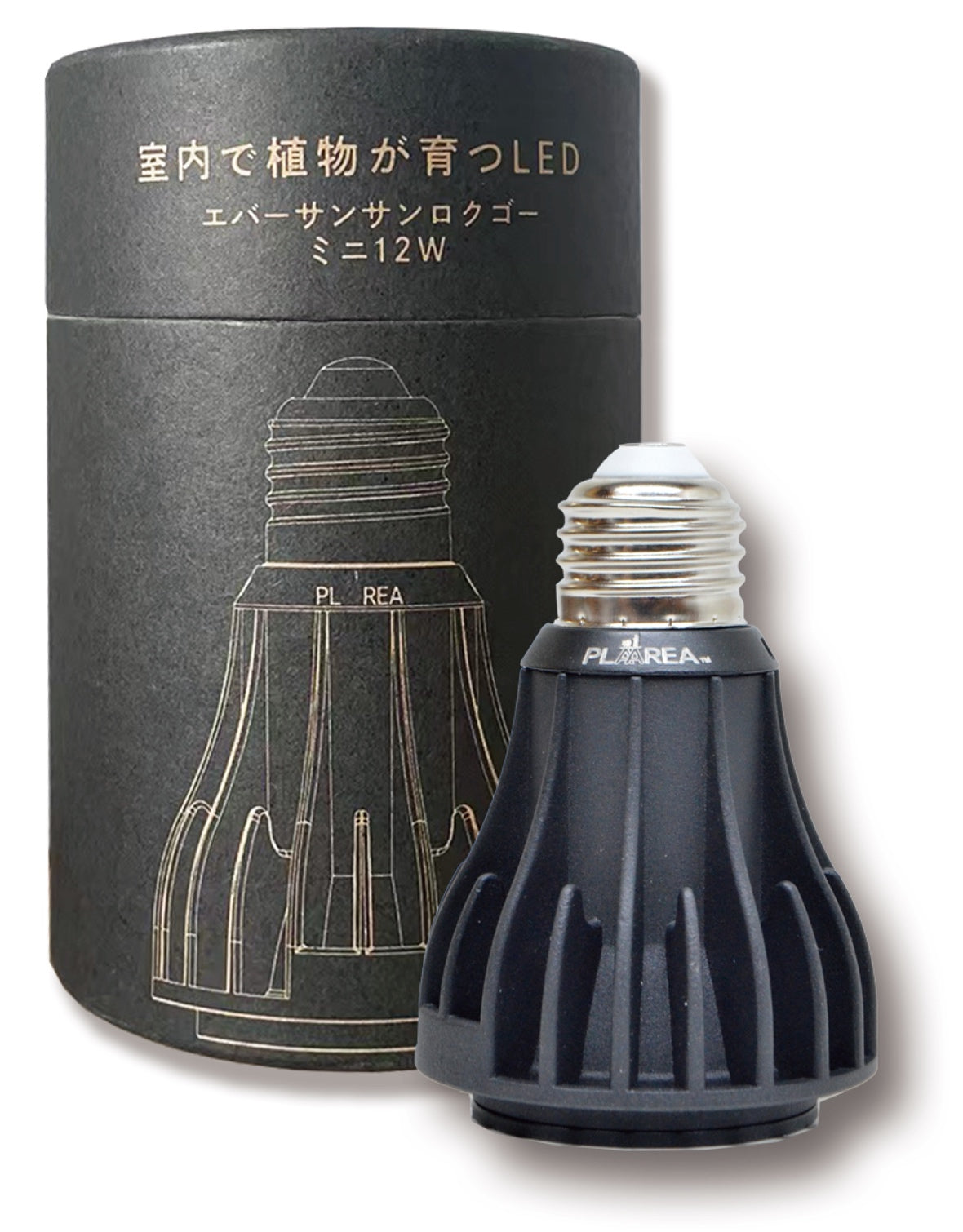 育成ライト – 植物家族