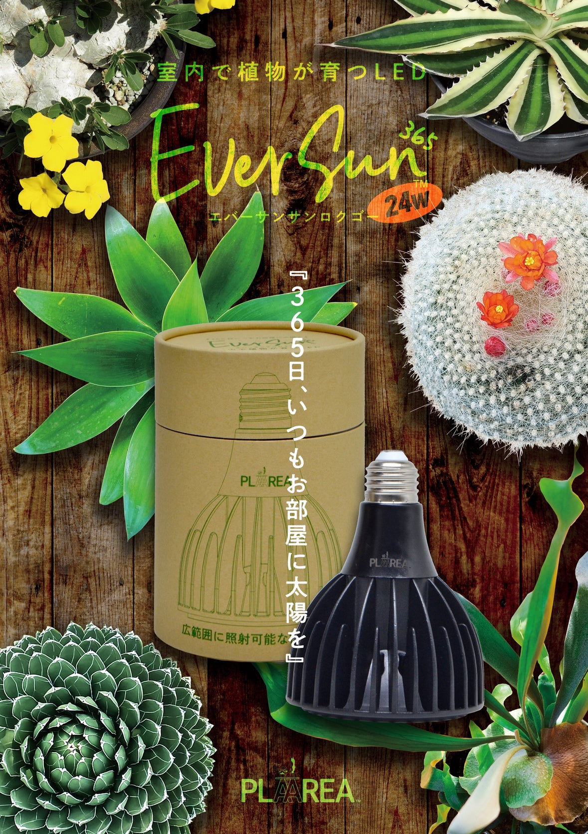 植物育成ライト・スタンド – 植物家族