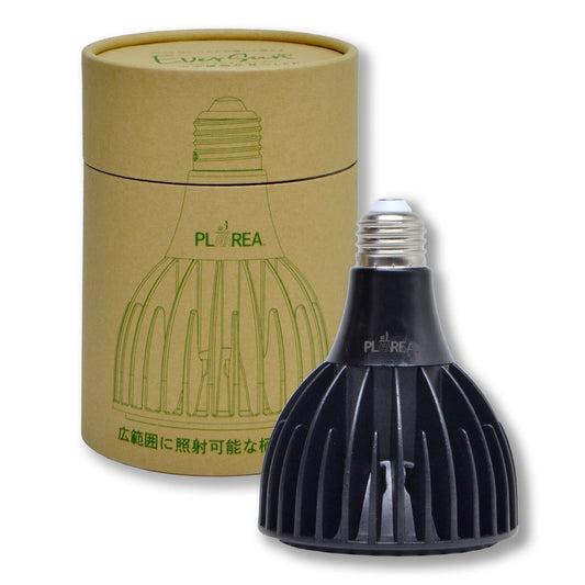 エバーサン365 24W