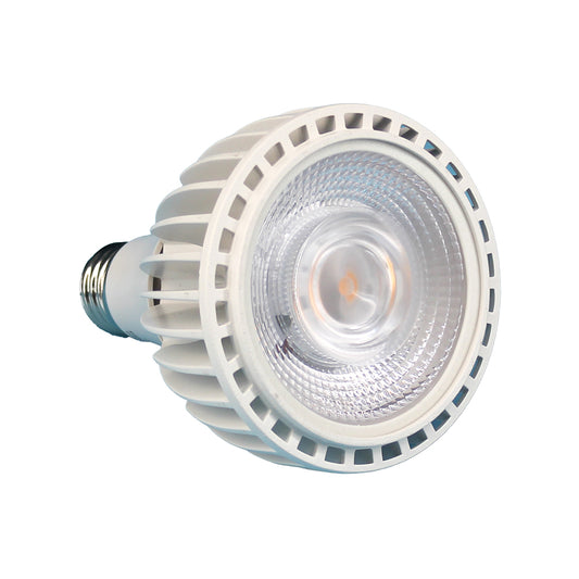 エバーサン365　ホワイト　L(24W)　暖色