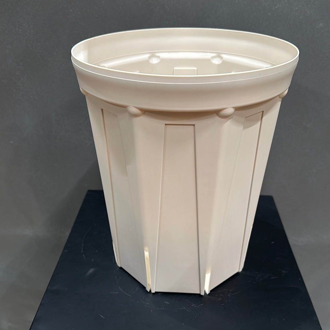 Pickup 全ての商品 – 植物家族