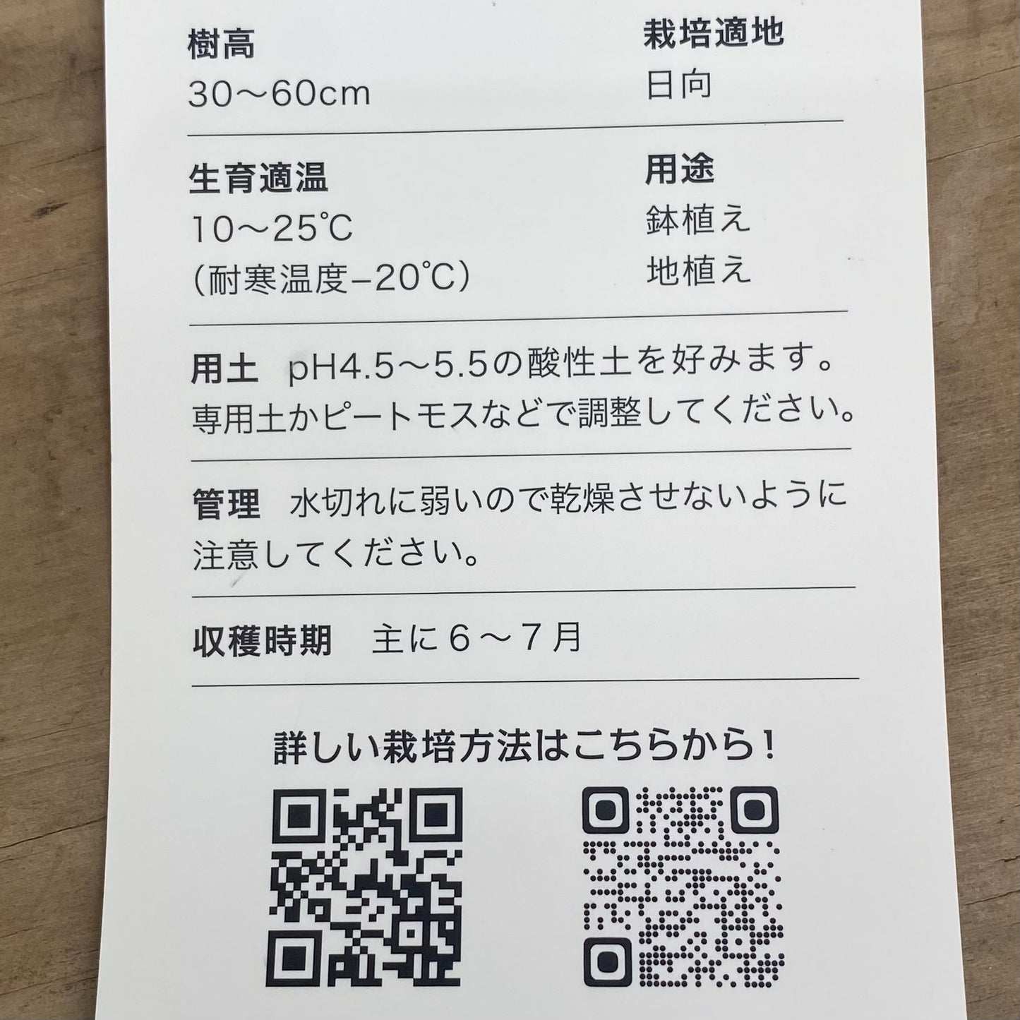 コンパクトブルーベリー　ブッシェル・アンド・ベリー　ジェリービーン　5号鉢