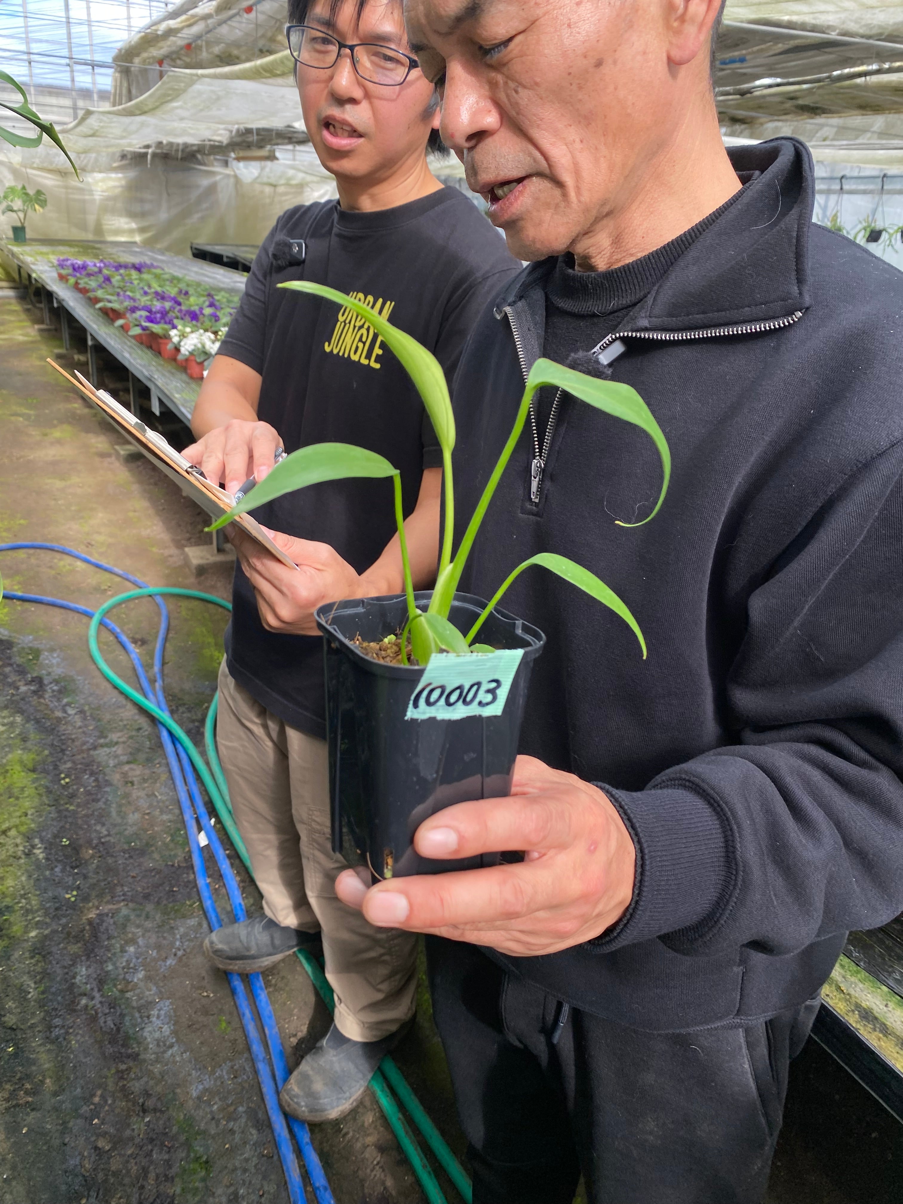 Pickup 全ての商品 – 植物家族